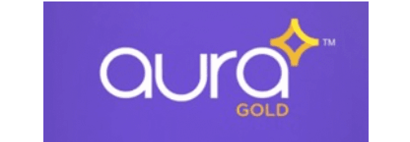 Partner Logo 2